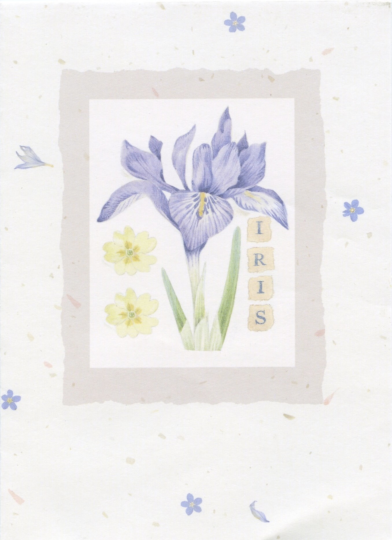 Card 5
